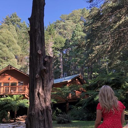 Sassafras Chudleigh Park Cottages المظهر الخارجي الصورة