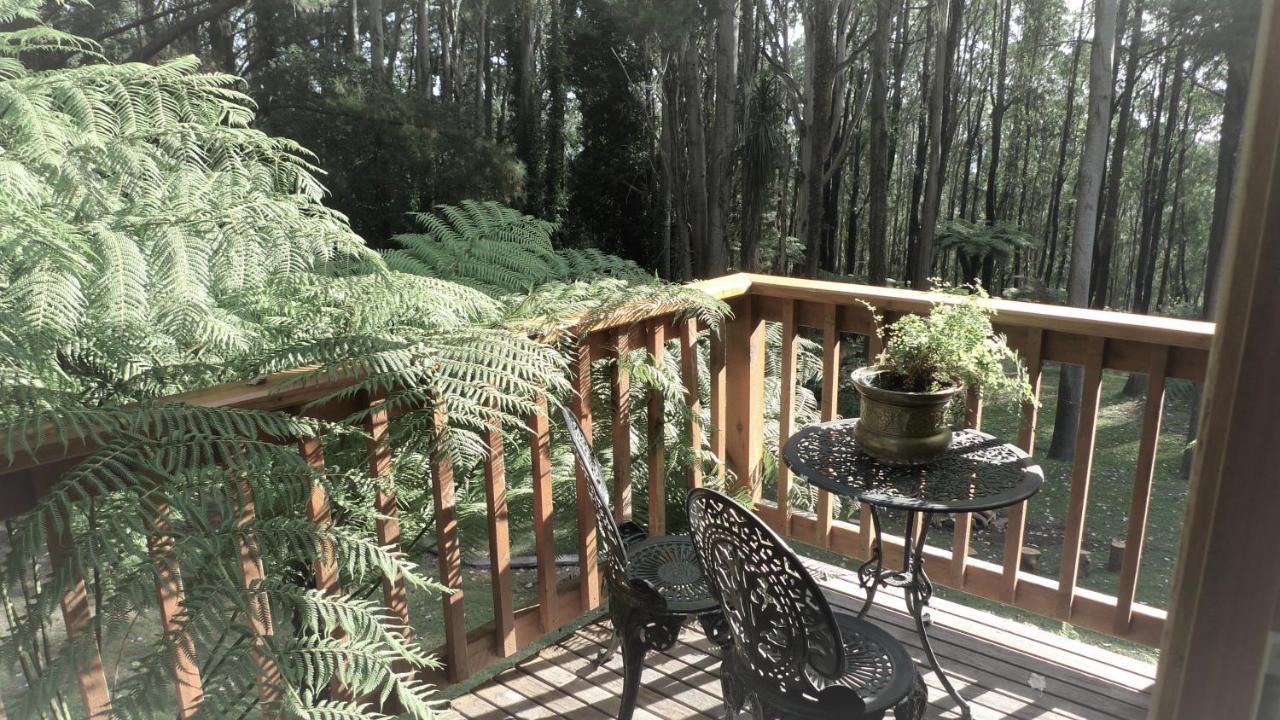Sassafras Chudleigh Park Cottages المظهر الخارجي الصورة