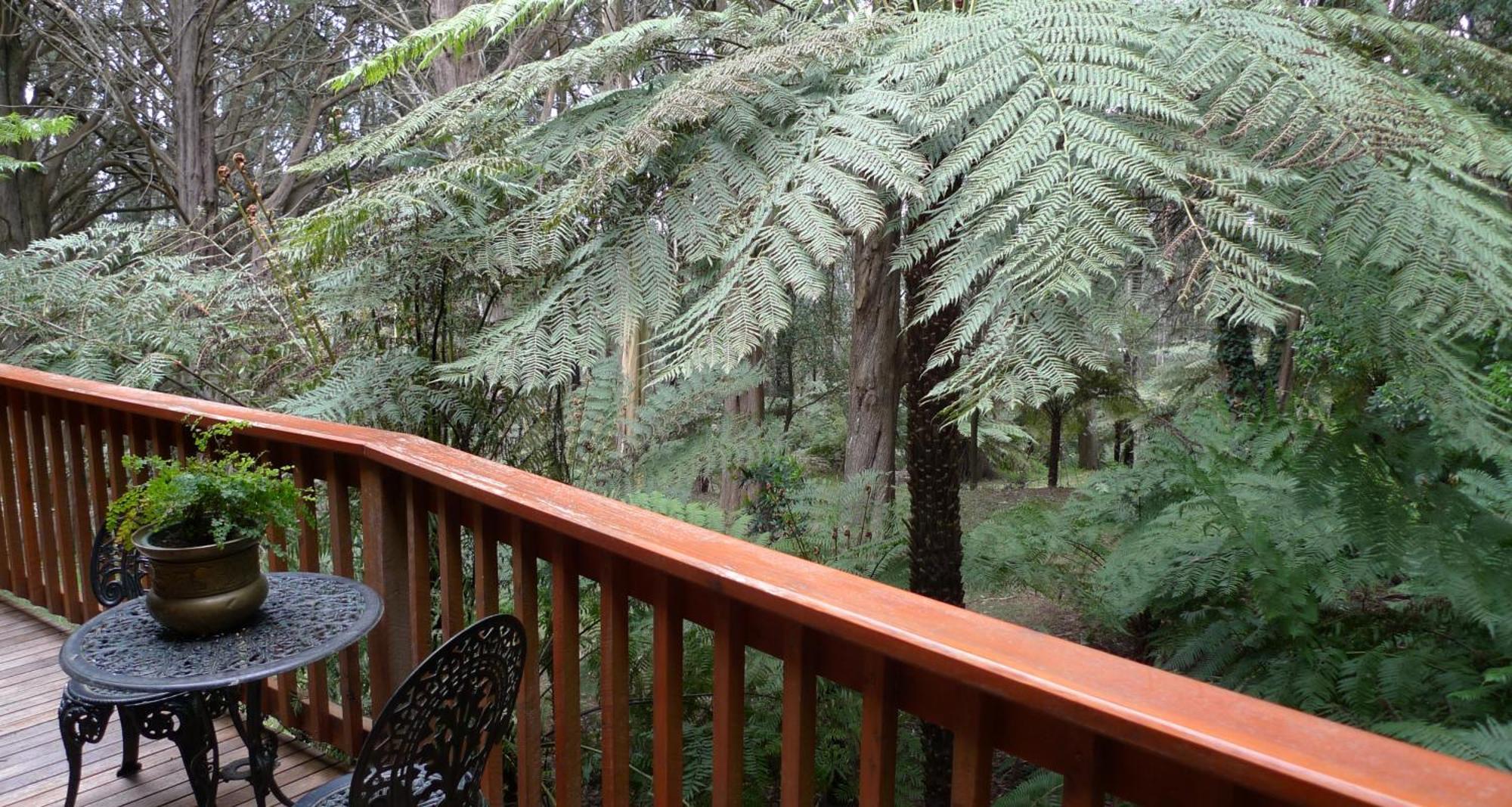 Sassafras Chudleigh Park Cottages المظهر الخارجي الصورة