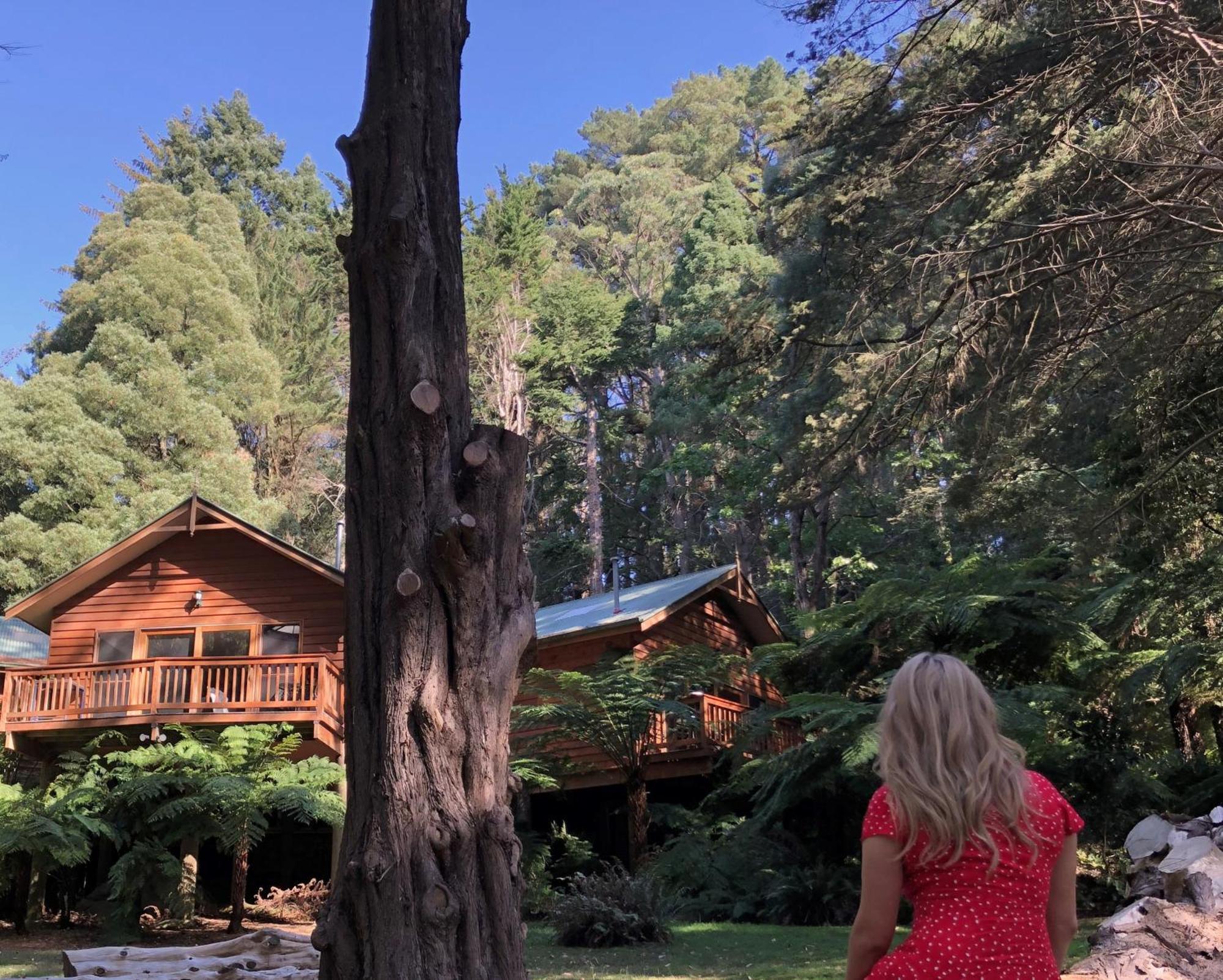 Sassafras Chudleigh Park Cottages المظهر الخارجي الصورة