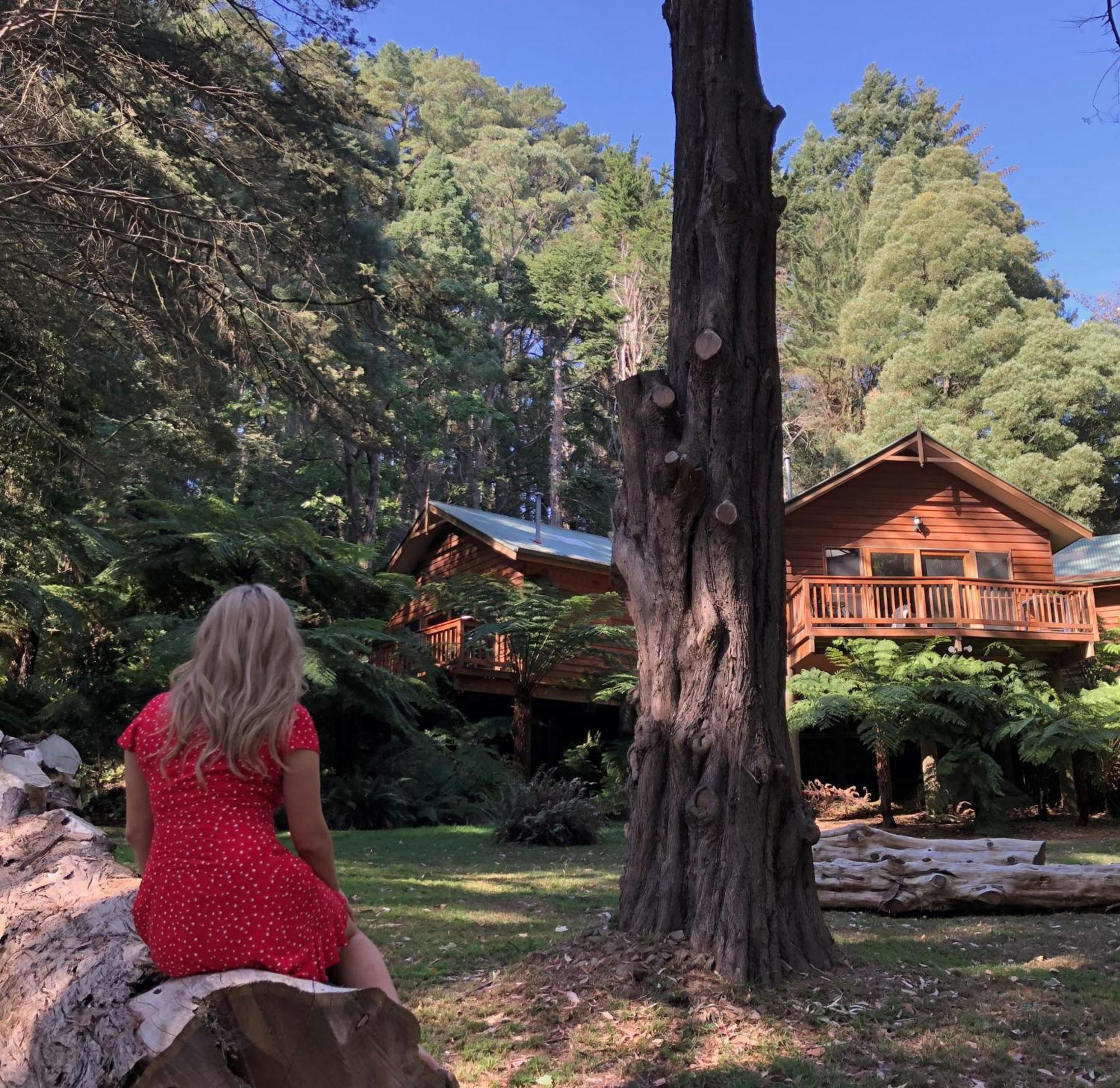 Sassafras Chudleigh Park Cottages المظهر الخارجي الصورة